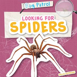 Cover image for Looking for Spiders