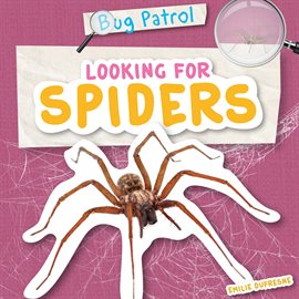 Imagen de portada para Looking for Spiders