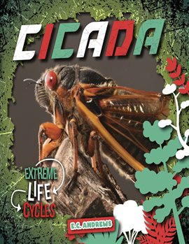 Cover image for Cicada