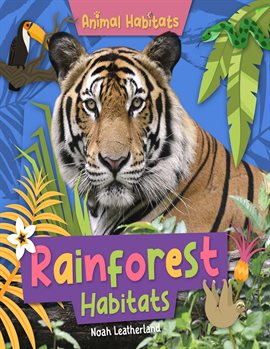 Imagen de portada para Rainforest Habitats