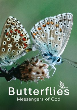 Butterflies - Messengers of God Butterflies - Messengers of God