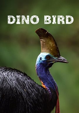 Dino Bird Dino Bird