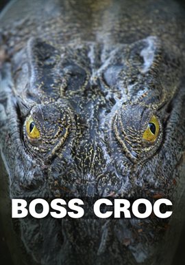Boss Croc Boss Croc