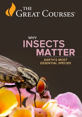 Cover image for Insect Life Cycles and Reproduction