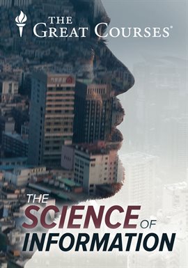 Cover image for The Meaning of Information
