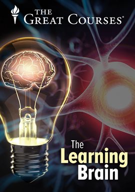 Cover image for What Amnesia Teaches Us about Learning