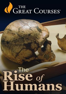 Imagen de portada para Archaeology and Cooperation