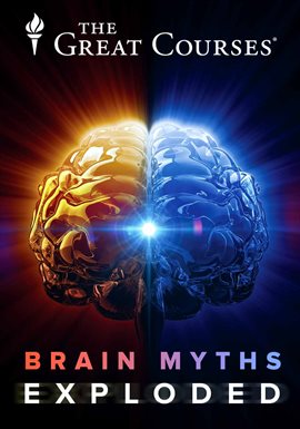 Imagen de portada para Do You Have 5 Independent Senses?