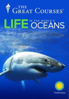 Cover image for The Importance of Sound to Ocean Life