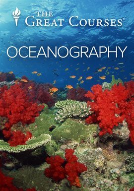 Cover image for The Warming, Rising Sea