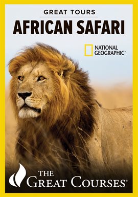 Imagen de portada para The Sounds of an African Safari