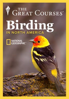 Cover image for Birding Basics