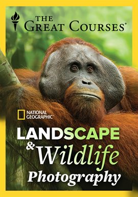 Cover image for Wildlife Photography