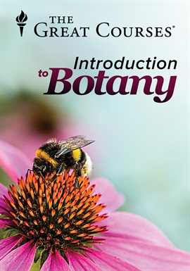 Imagen de portada para The Coevolution of Who Pollinates Whom
