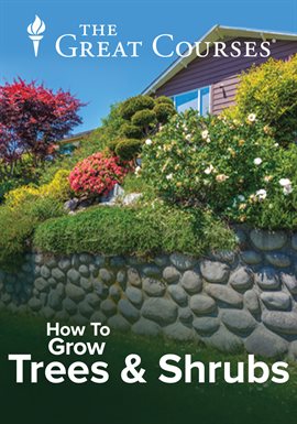 Cover image for Spring and Summer Care of Trees and Shrubs