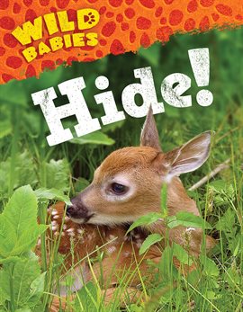 Cover image for Hide!