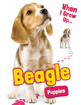 Cover image for Beagle Puppies