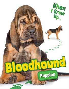 Cover image for Bloodhound Puppies