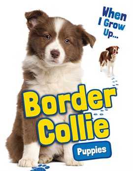 Cover image for Border Collie Puppies