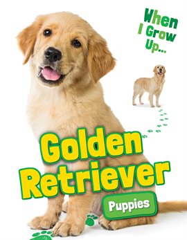 Cover image for Golden Retriever Puppies