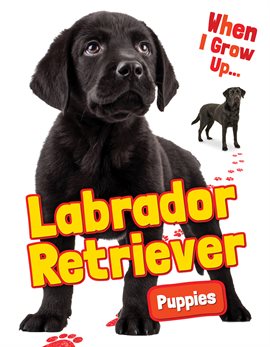 Cover image for Labrador Retriever Puppies