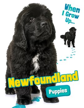Cover image for Newfoundland Puppies