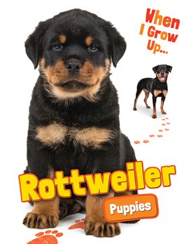 Cover image for Rottweiler Puppies