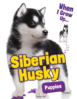 Cover image for Siberian Husky Puppies