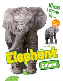 Cover image for Elephant Calves