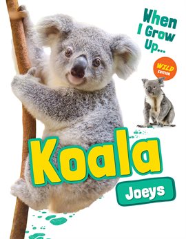 Cover image for Koala Joeys