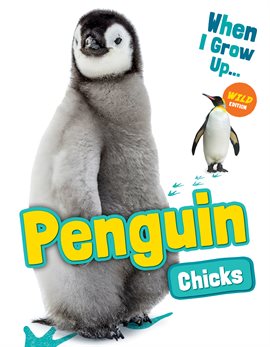 Cover image for Penguin Chicks