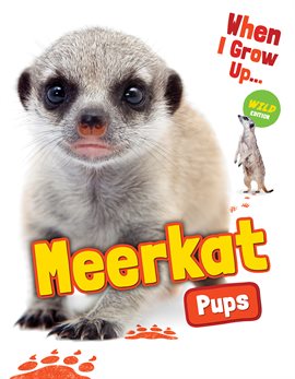 Cover image for Meerkat Pups