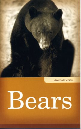 Cover image for Bears