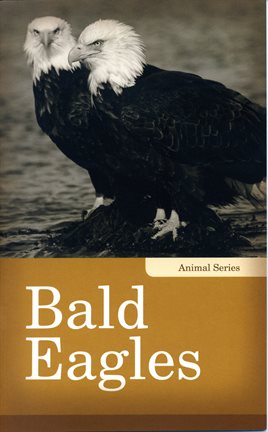 Cover image for Bald Eagles