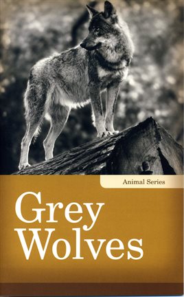 Cover image for Grey Wolves