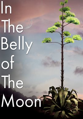 Cover image for In The Belly of the Moon