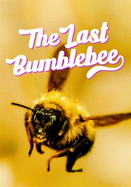 Cover image for The Last Bumblebee
