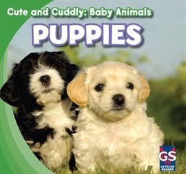 Puppies