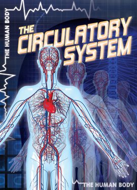 Imagen de portada para The Circulatory System