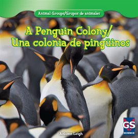 Imagen de portada para A Penguin Colony / Una colonia de Pingüinos