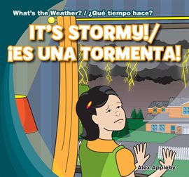 Cover image for It's Stormy! / ¡Es una tormenta!