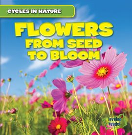 Flowers: From Seed to Bloom
