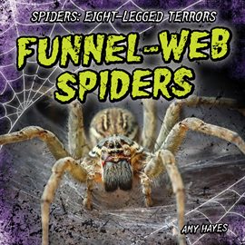 Cover image for Funnel-Web Spiders