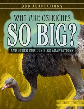 Cover image for Why Are Ostriches So Big?