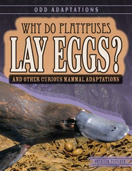 Cover image for Why Do Platypuses Lay Eggs?