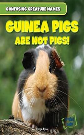 Imagen de portada para Guinea Pigs Are Not Pigs!