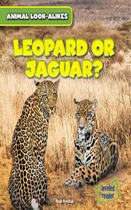Cover image for Leopard or Jaguar?