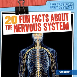 Imagen de portada para 20 Fun Facts About the Nervous System