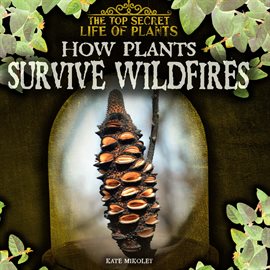 Cover image for How Plants Survive Wildfires