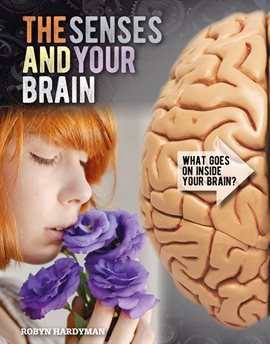 Imagen de portada para The Senses and Your Brain